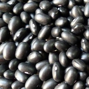 Black Soybeans