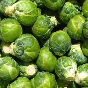 Brussel Sprouts