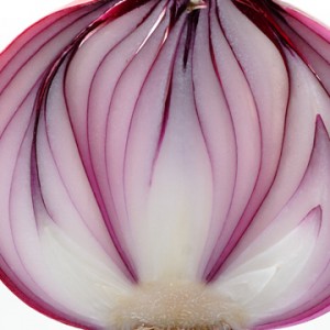 Onion